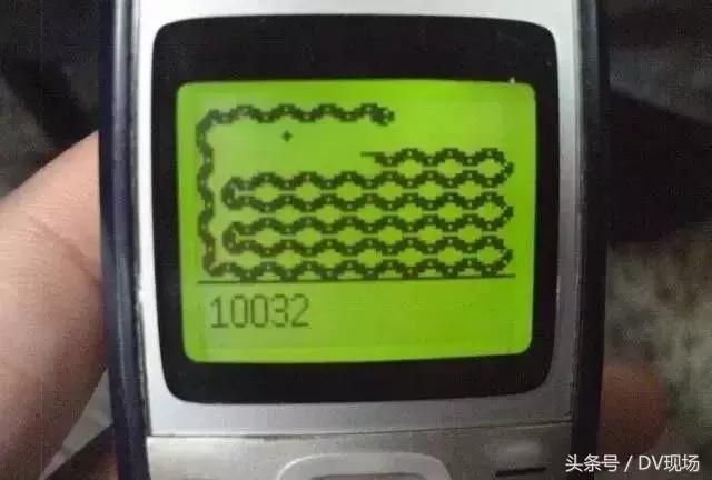 广州毒蛇被咬,广东小区毒蛇咬伤事件