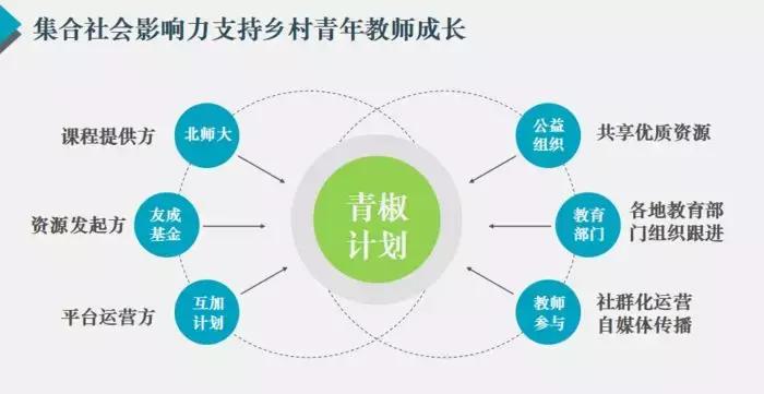 中小学乡村美育改革创新案例范文,社会改造典型案例农业合作社