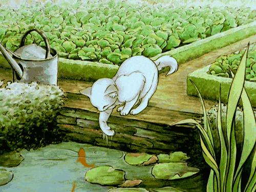 玉露为什么越养越黑,玉露养瘪了