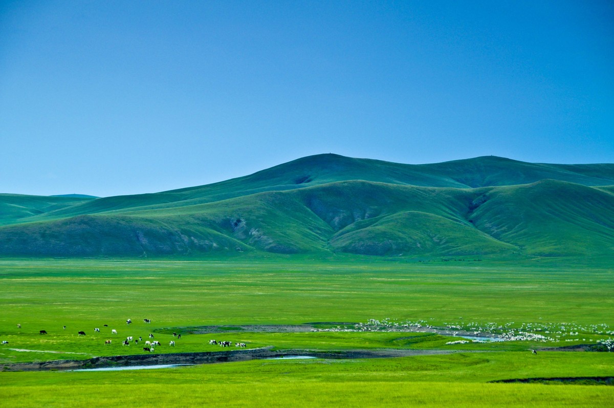 呼伦贝尔大草原中俄边界线风景区,呼伦贝尔大草原跟团游一日游