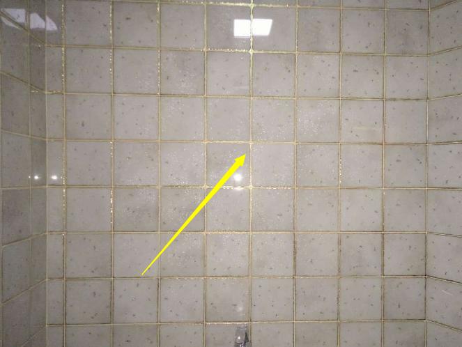 卫生间奇葩但实用布局,卫生间如何设计不容易堵