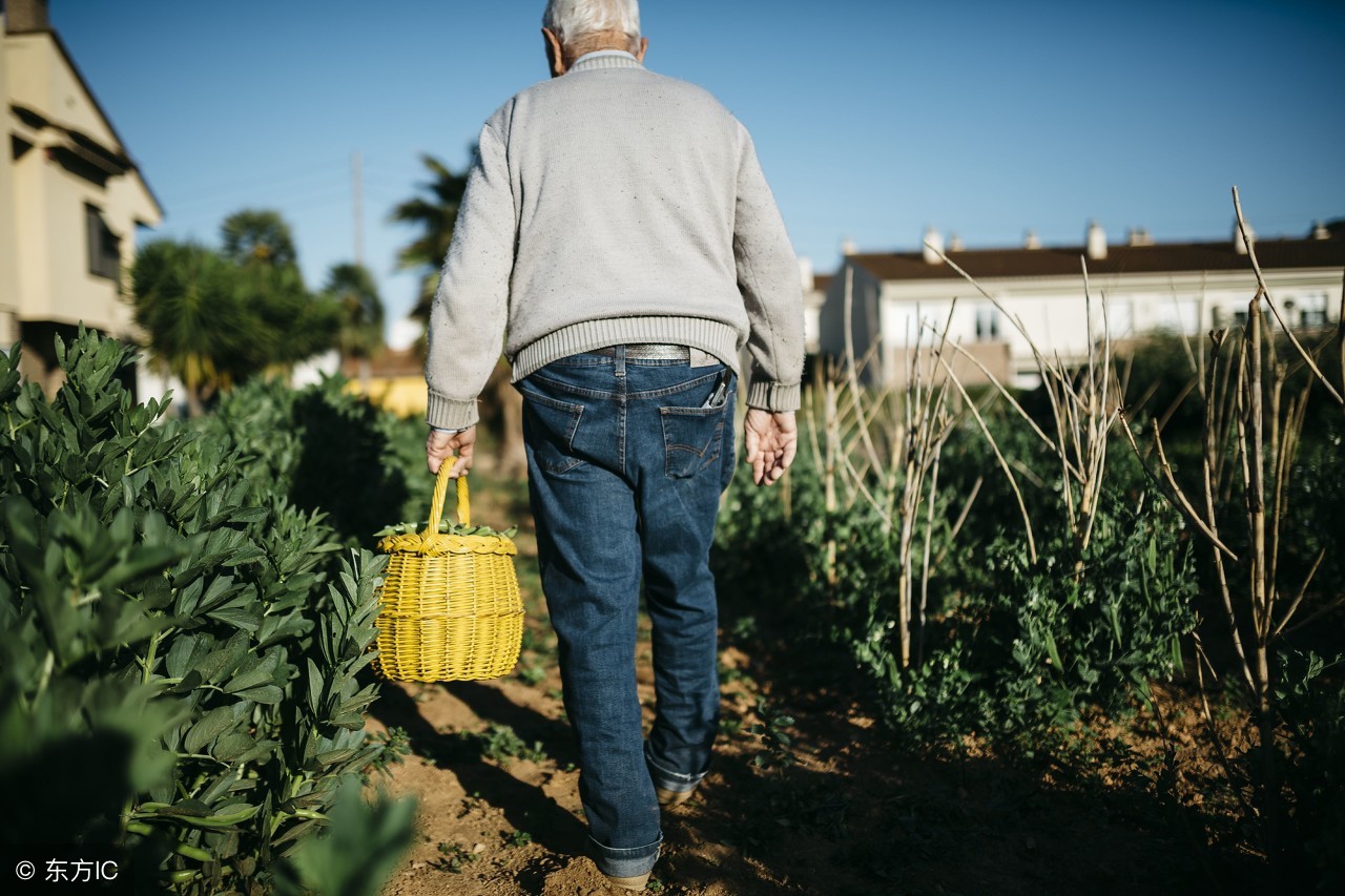 80岁老人的真实讲述,黑芝麻糊适不适合80多岁的老人吃