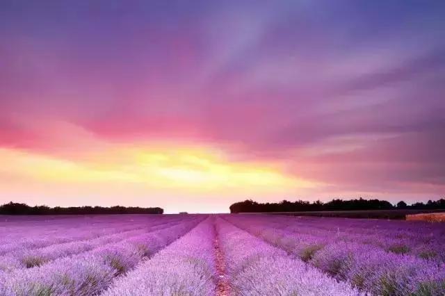 还出什么国？去了易县，等于去了全世界，不信你看！