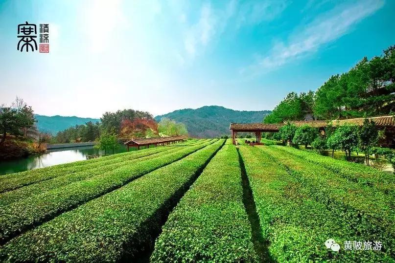 五一期间黄陂人游黄陂景点免费吗,五一黄陂景区免费有哪些