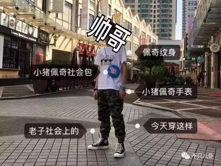 生活圈被它攻占，明星主动“蹭”它热度，现在的流量担当是这只猪