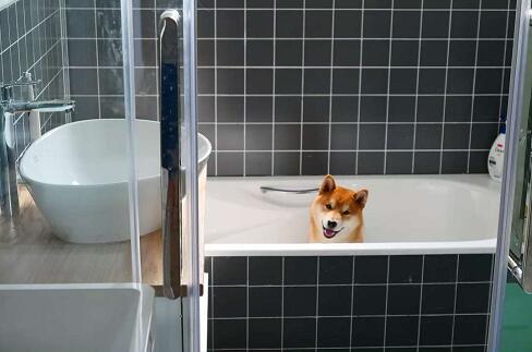 独立浴缸怎么装好看,浴室里面装上浴缸怎样搭配好看