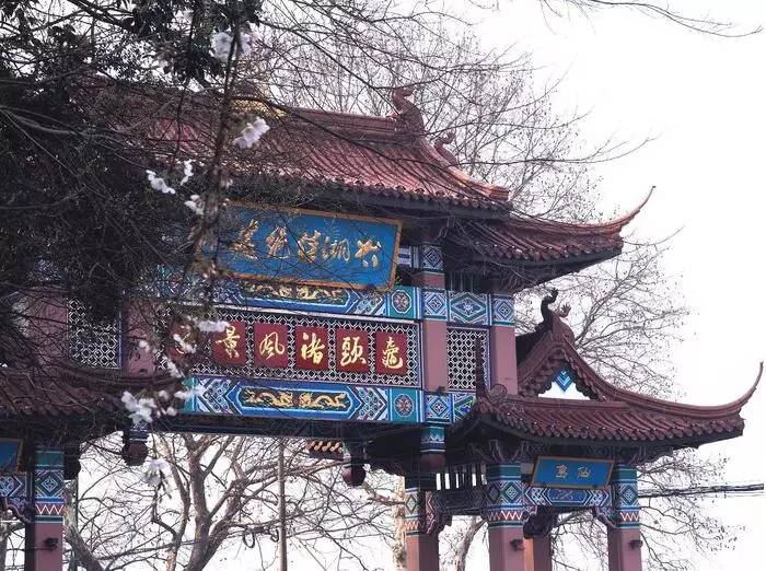 东南dx3自驾游,江浙寻花事