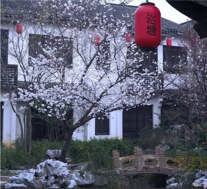 江浙寻花事,东南dx3自驾游
