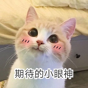 浪费钱的小红书爆款，劝你别买了！