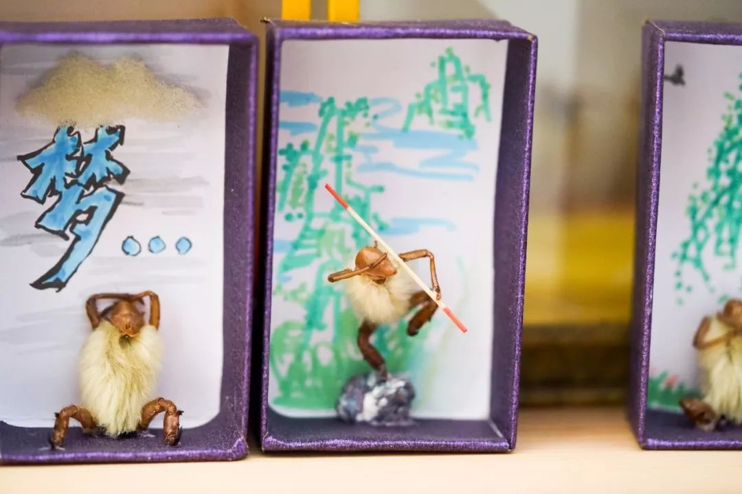 他拜师曹雪芹后人，将虫壳、玉兰变成立体漫画！