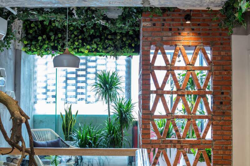 央视名主持人杨阳简历,杨阳电台主持人