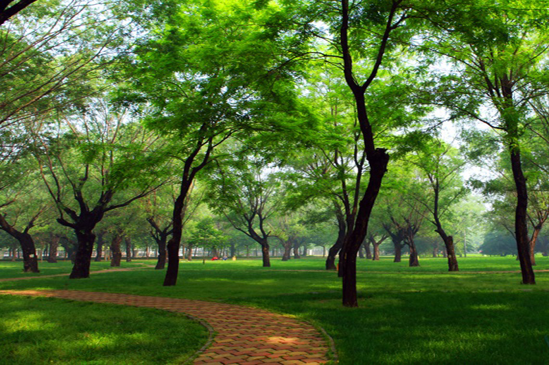 2022开封景点门票春节免费吗,开封旅游攻略郑州景区推荐