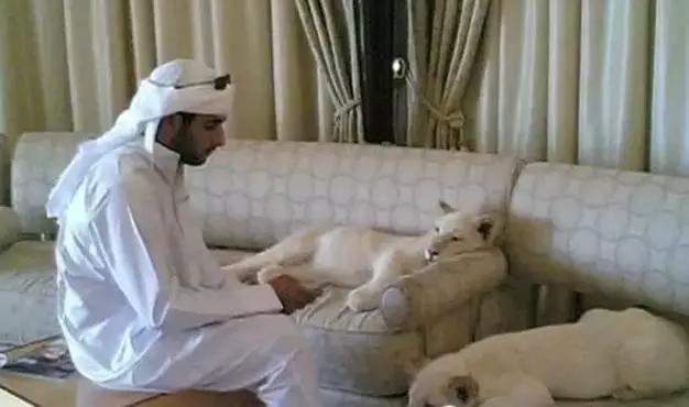 迪拜贫穷人的生活,迪拜贫穷限制了我的想象