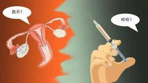 女大学生捐卵案完整,女大学生捐卵有什么危害