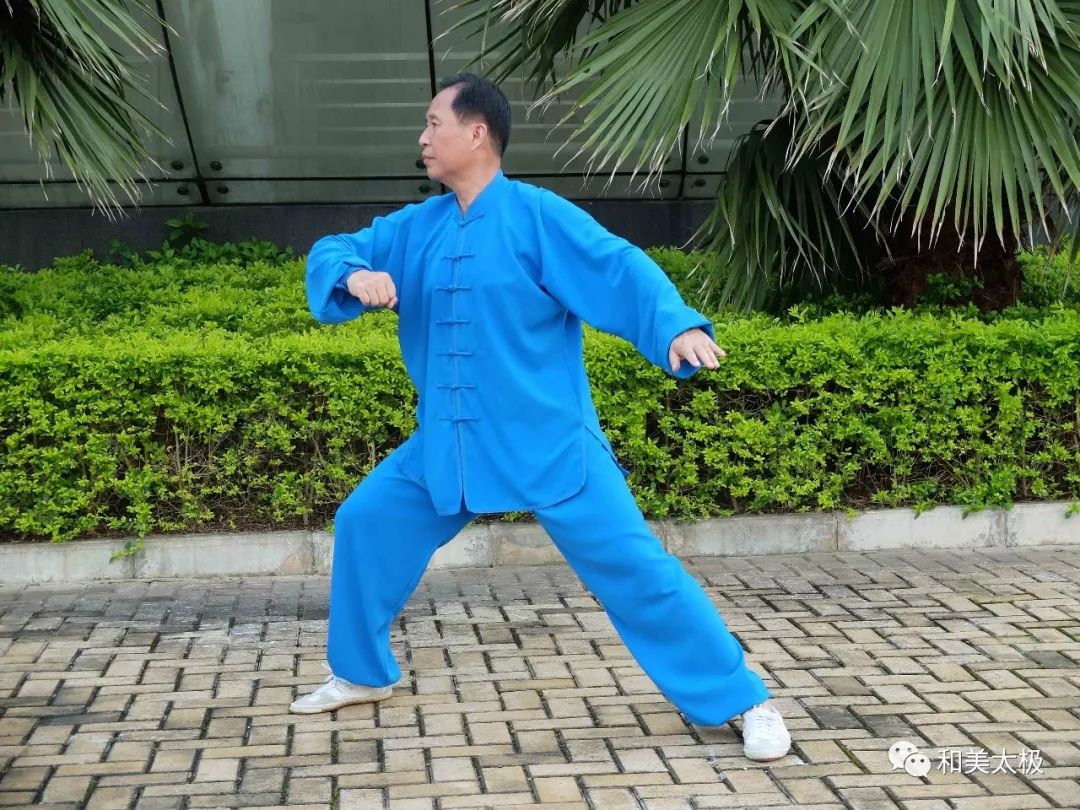 陈雄杨式太极拳基本功讲解,陈雄聊太极拳视频全集