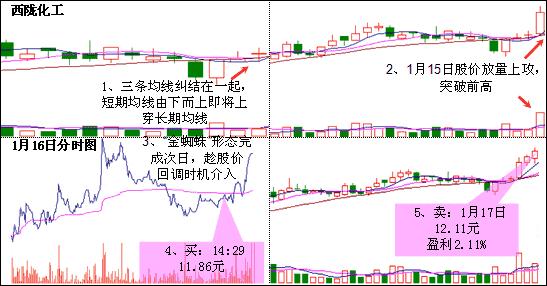 老股民坚守的铁律,短线老股民铁律