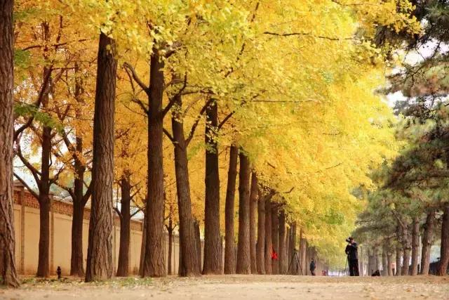 北京值得旅游的地方一日游推荐,北京好玩又免费的地方推荐三日游