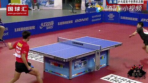 资深球迷深度解析,乒乓球打球解析