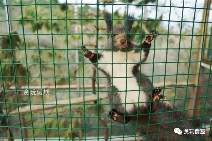 北京有哪些亲子农庄,北京市周边亲子农庄小动物