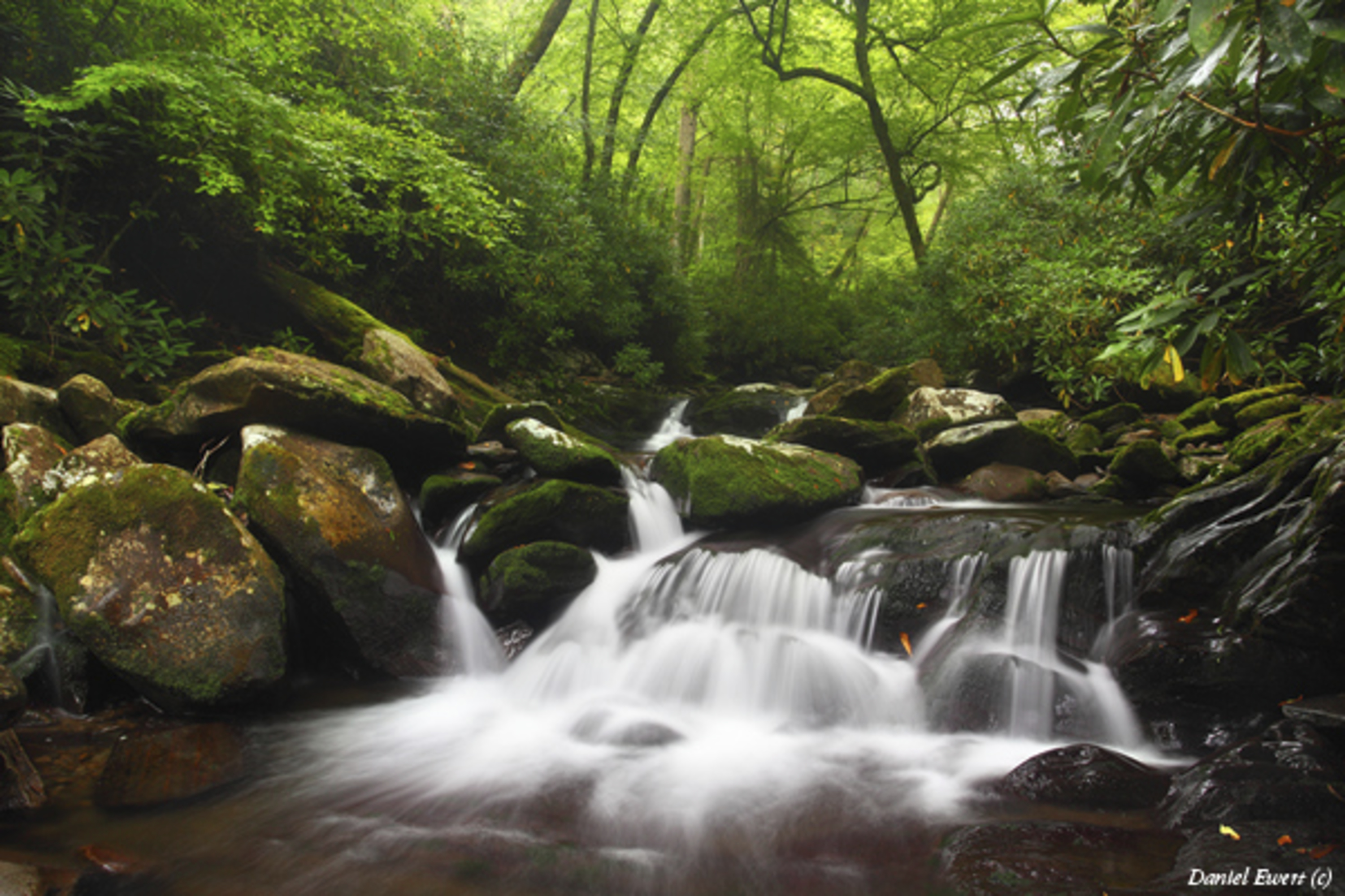 TNC收到美国田纳西州史上最大面积土地捐赠