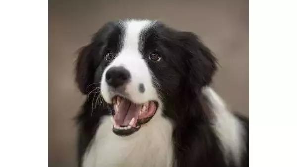 大痣旁边长小痣一定是癌变吗,最容易发生癌变的痣是哪种痣