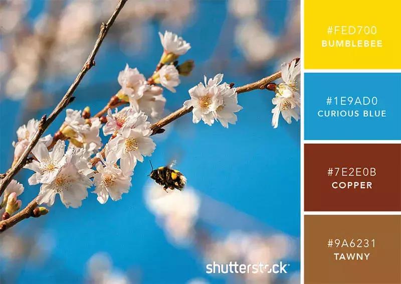 你知道彩虹是什么颜色吗,你知道彩虹的颜色吗英语翻译