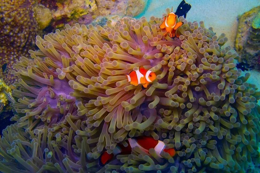 记录三亚快乐之旅留下美好的回忆,遇见初心合集