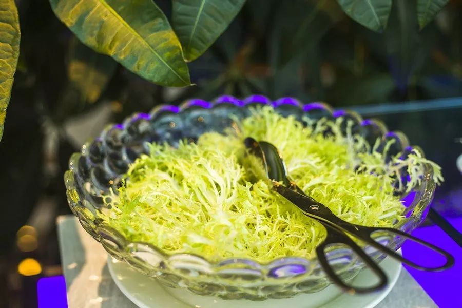 记录三亚快乐之旅留下美好的回忆,遇见初心合集