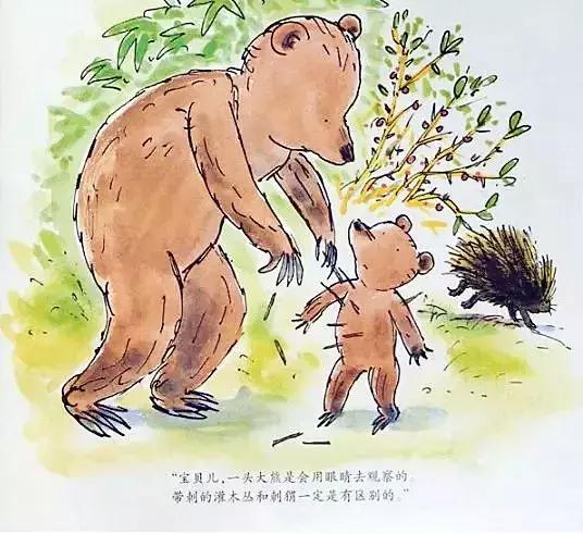 小熊和最好的爸爸长大了读后感,小熊和最好的爸爸一起长大了