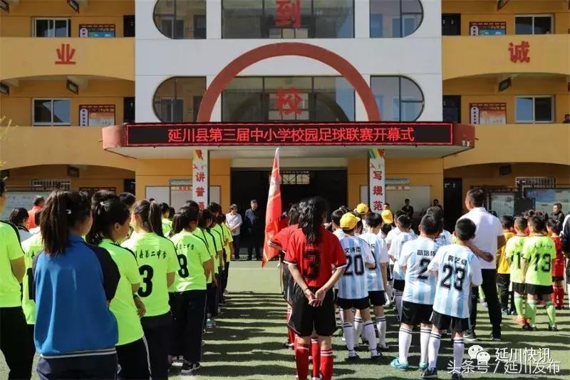 绿茵少年足球联赛,绿茵场上的足球少年