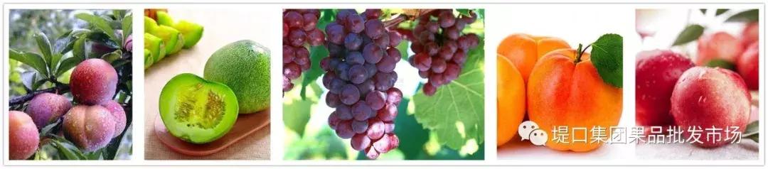 明日水果价格行情分析,应季水果最新行情分析