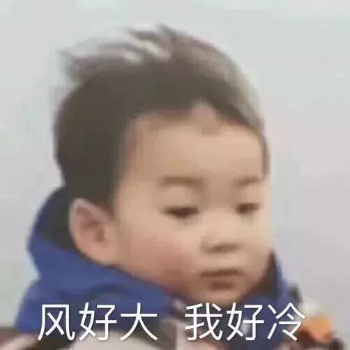 资生堂红腰子替代款,资生堂红腰子平价替代