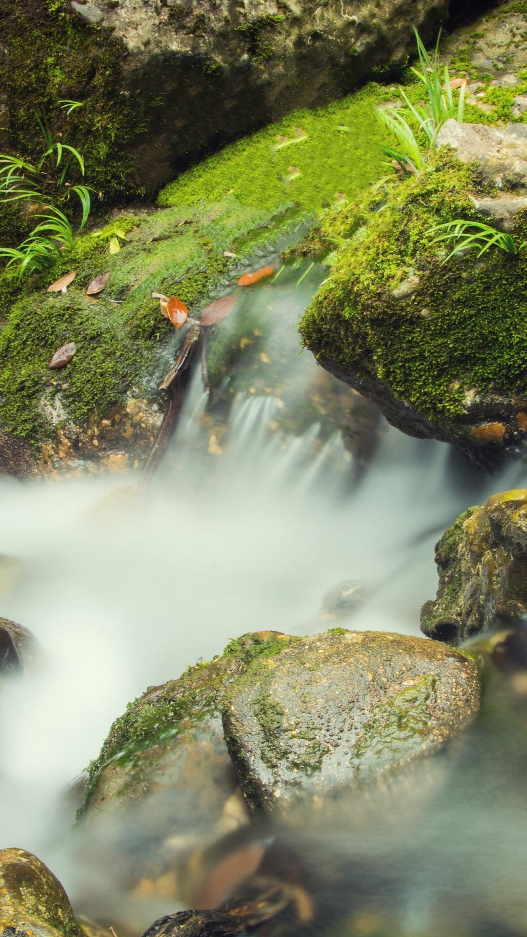 塞尔达传说旷野之息精美手机壁纸,王鸥精美手机壁纸