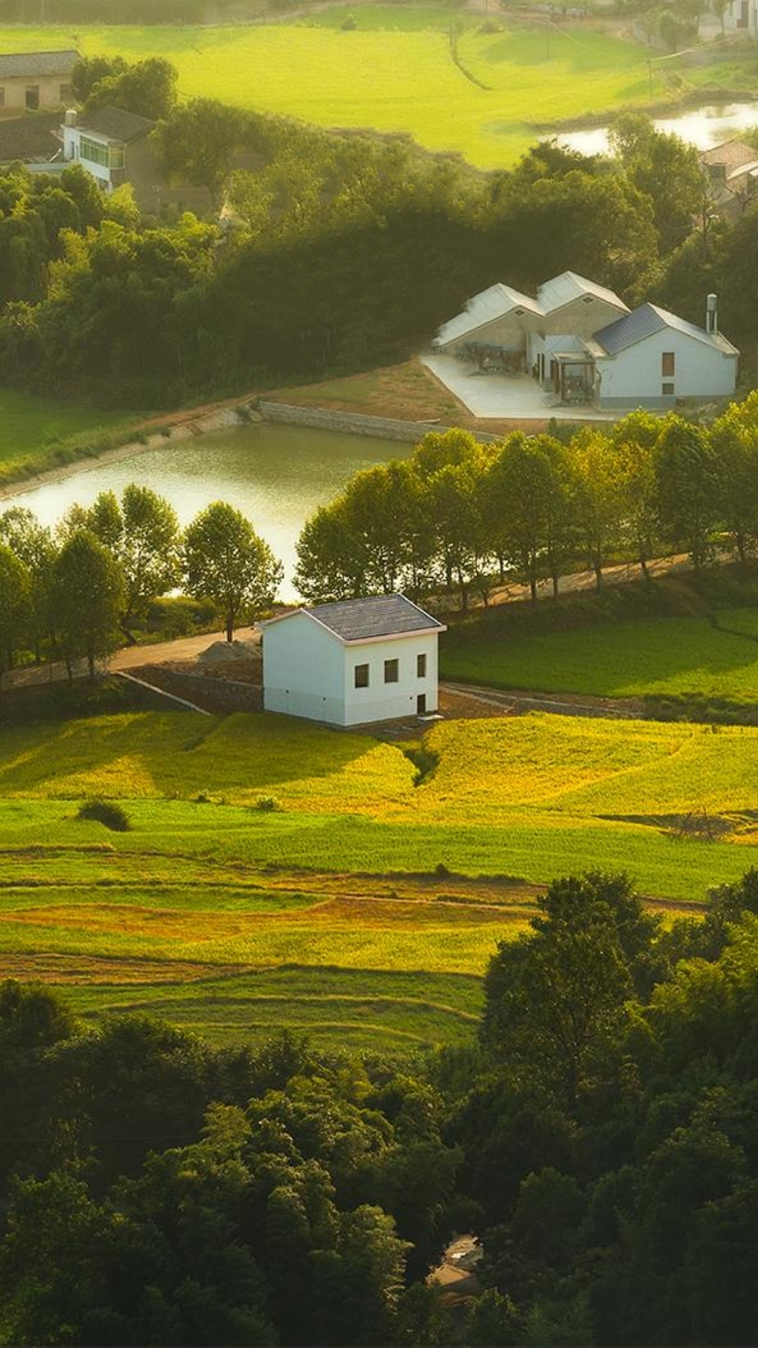 塞尔达传说旷野之息精美手机壁纸,王鸥精美手机壁纸
