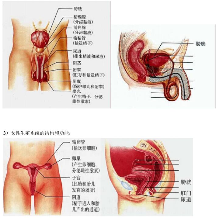 2018中考生物知识点总结（图文并茂），喜欢的朋友记得收藏或转发