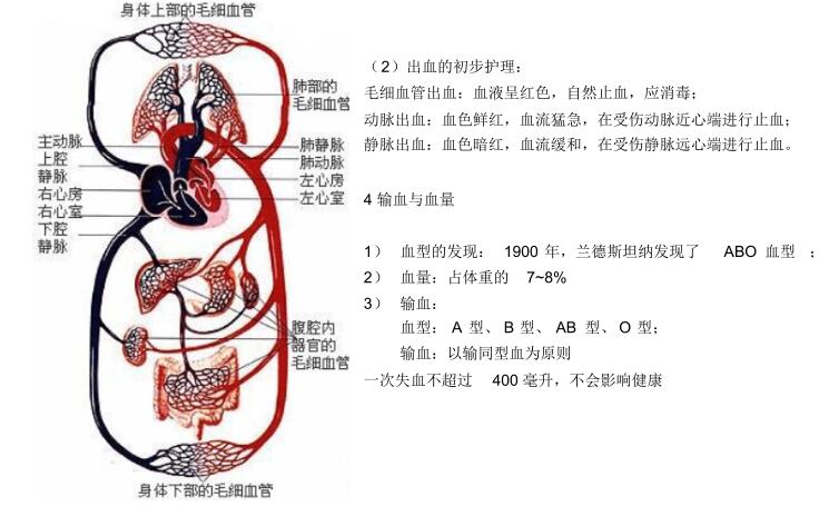 北师大版生物中考必背知识点,苏教版生物中考知识点总结填空版