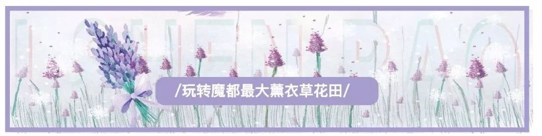 双十一化妆品品牌特惠,双十一最值得购买化妆品