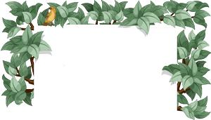 术后注意事项及忌讳,术后病人的注意事项