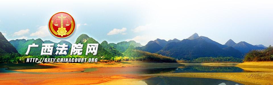 决胜执行难专项进展,决胜基本解决执行难精准攻坚篇