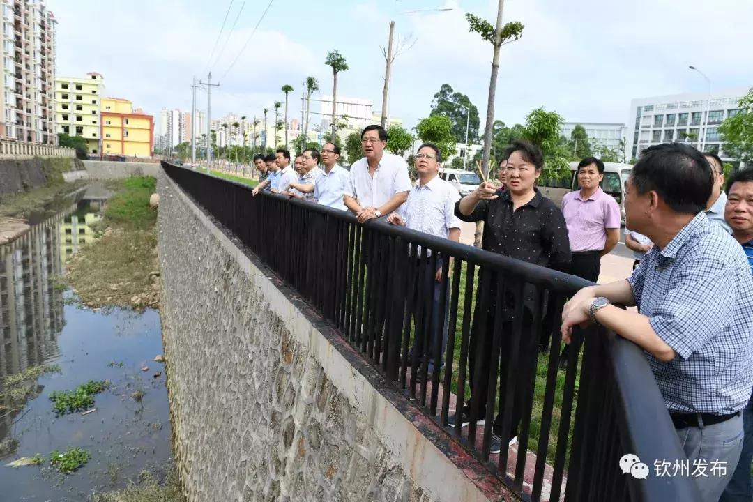 该巡就巡、该改就改！王革冰检查钦江水质整改工作后说了这些话……