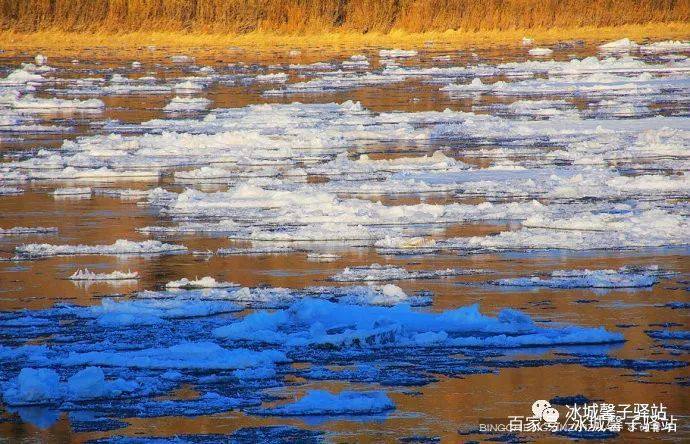 漠河北极村开江,去漠河看极光去甘孜看贡嘎雪山