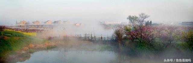 张家港凤凰镇2035年规划,张家港未来最好地段凤凰镇