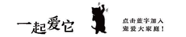 狗狗来生理期怎么办,狗狗来生理期成年了吗