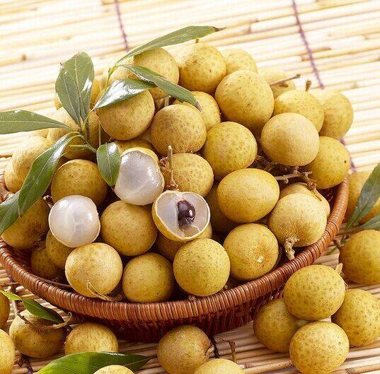 桂圆气血双补,桂圆怎么吃能补气血两亏