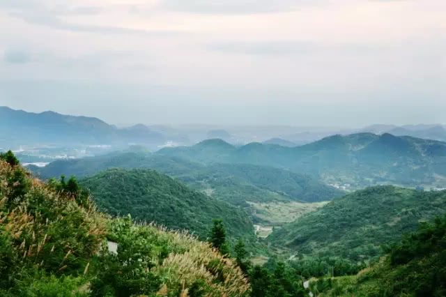 白云峰是做什么的,白云峰干嘛的