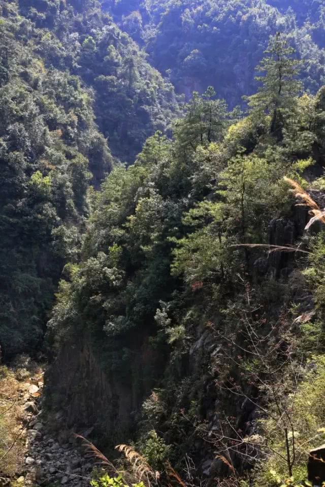 白云峰是做什么的,白云峰干嘛的