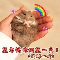 为啥鼠能排12生肖老大?先把这份拜年祝福语读懂再说