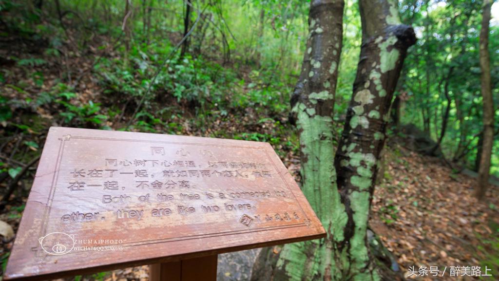 江西三清山风景区一日游攻略,江西圭峰山风景区攻略