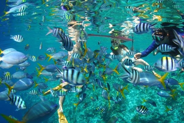 300元一天免签的国家,去哪个国家比较简单不用花钱