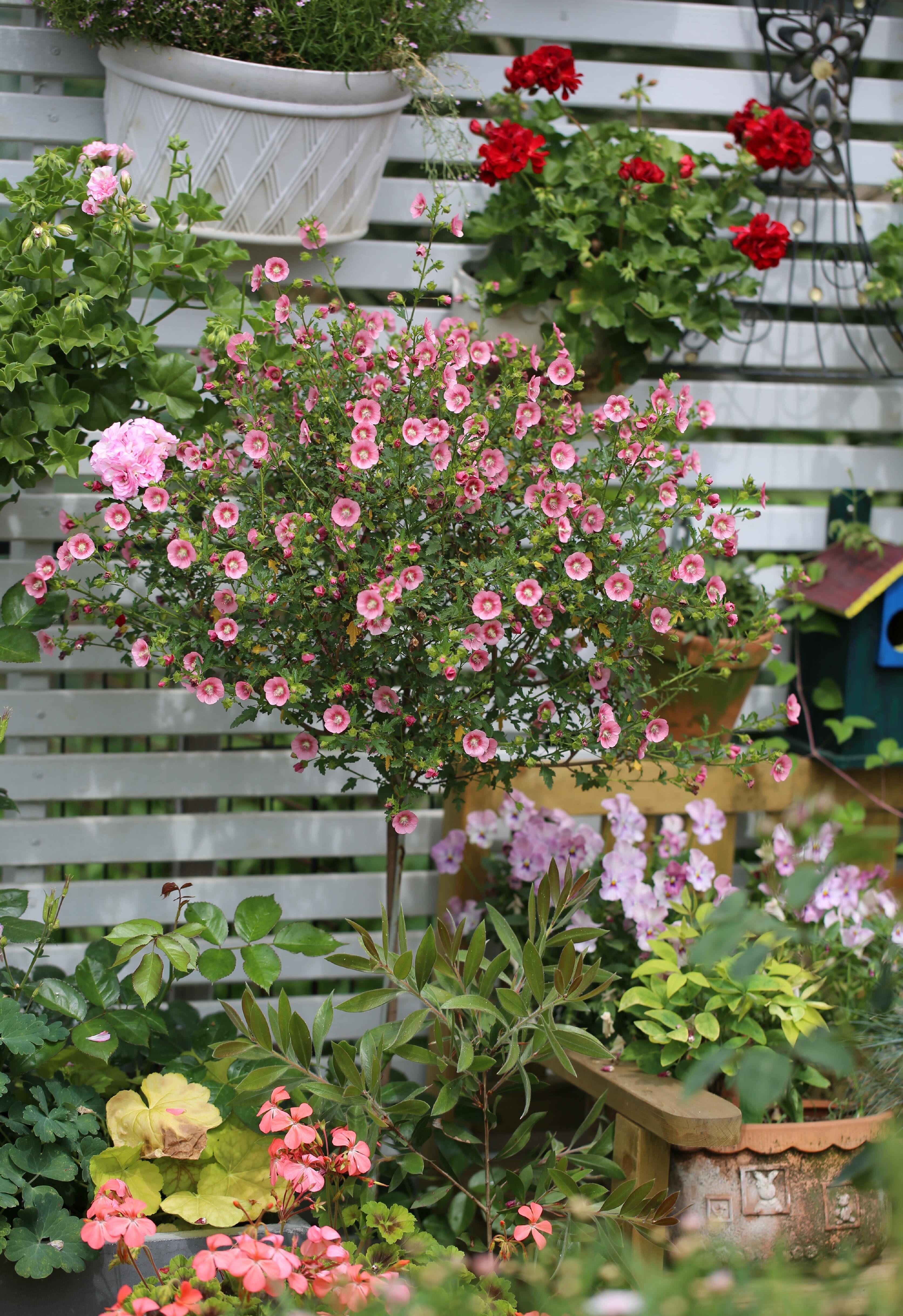 确认过眼神是从小帅到大的人,确认过眼神是个小眼睛